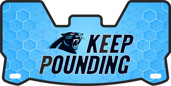 Panthers Helmet Visors Full Size