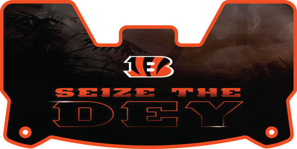 Joe Burrow Bengals Helmet Visor Full Size