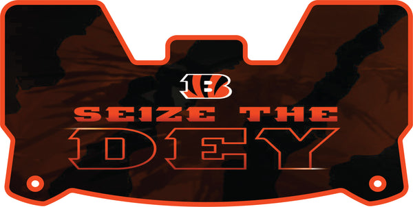 Joe Burrow Bengals Helmet Visor Full Size