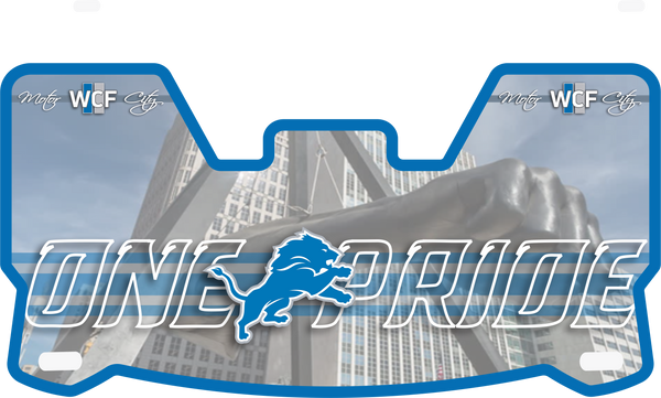 Detroit Lions Helmet Visors Full Size
