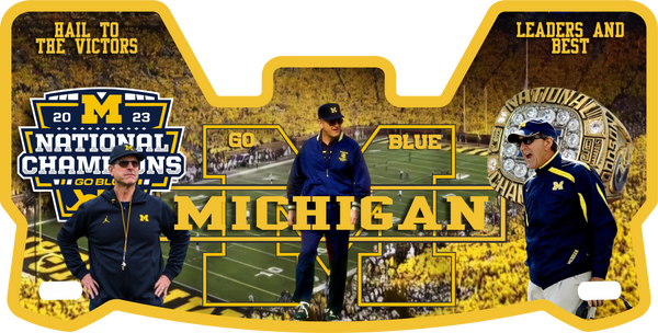 Wolverines Helmet Visors Full Size
