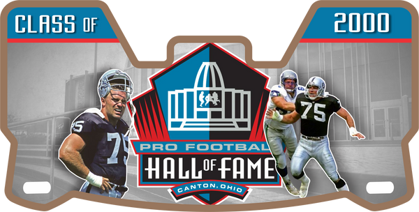Raiders Howie Long Helmet Visors Full Size