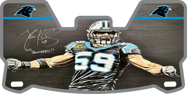 Panthers Helmet Visors Full Size