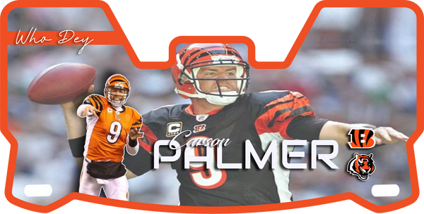 Carson Palmer Helmet Visor Full Size