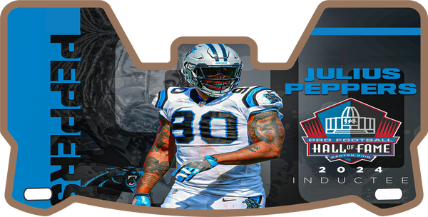 Panthers Helmet Visors Full Size