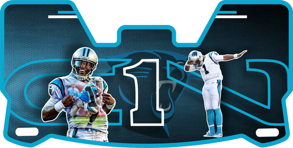 Panthers Helmet Visors Full Size