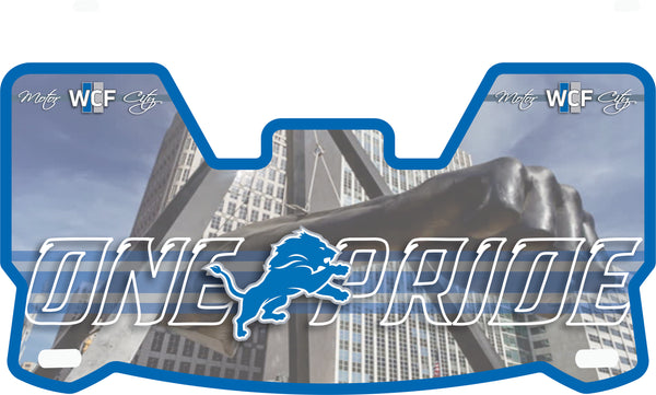 Detroit Lions Helmet Visors Full Size