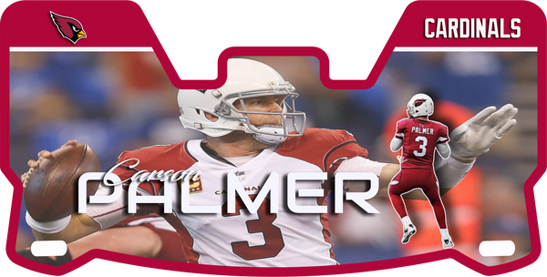 Carson Palmer Helmet Visor Full Size