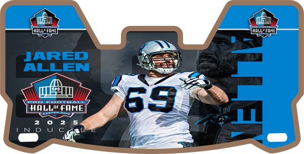 Panthers Helmet Visors Full Size