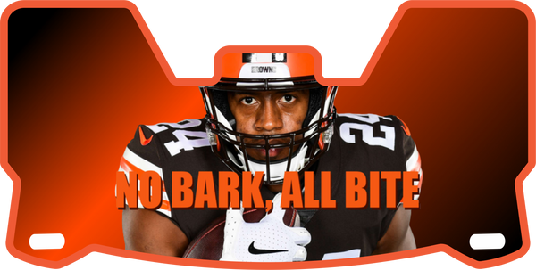 Browns Players Helmet Visors Full Size