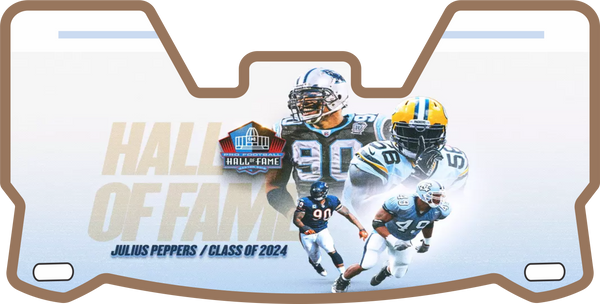 Panthers Helmet Visors Full Size