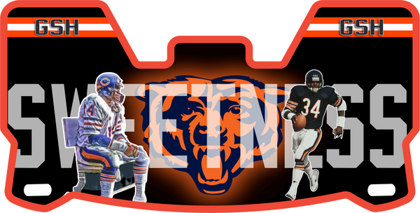 Devin Hester Chicago Bears Helmet Visor Full Size