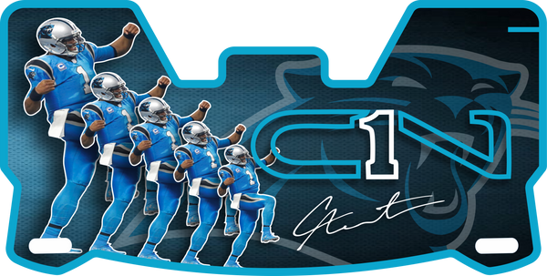 Panthers Helmet Visors Full Size