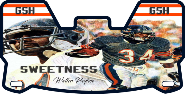 Devin Hester Chicago Bears Helmet Visor Full Size