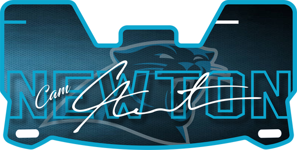 Panthers Helmet Visors Full Size