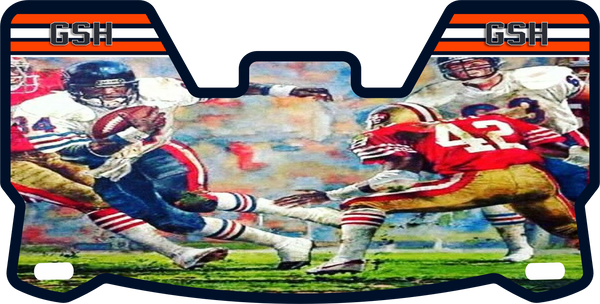 Devin Hester Chicago Bears Helmet Visor Full Size