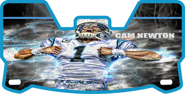 Panthers Helmet Visors Full Size