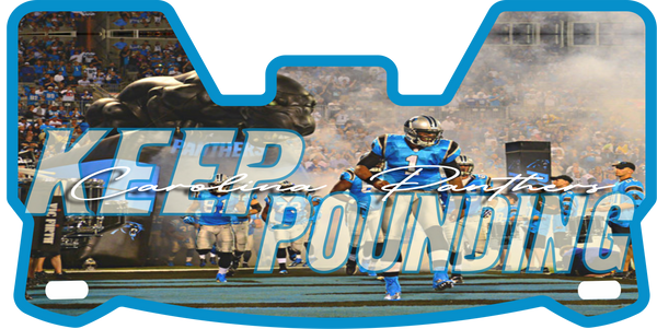 Panthers Helmet Visors Full Size