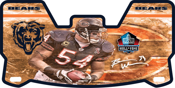 Devin Hester Chicago Bears Helmet Visor Full Size