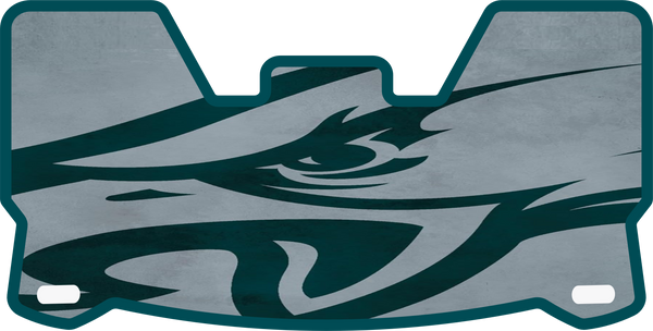 Eagles Full Size Helmet Visors