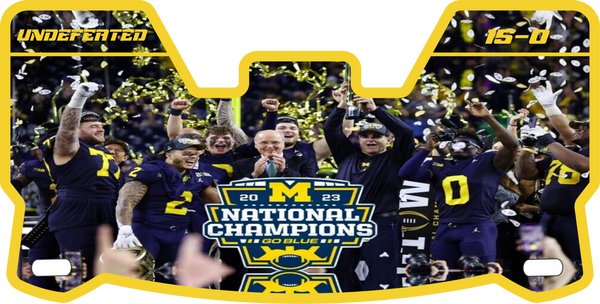 Wolverines Helmet Visors Full Size