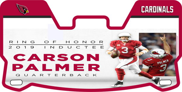 Carson Palmer Helmet Visor Full Size