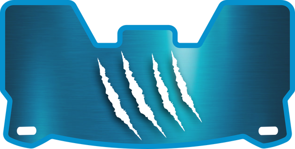 Panthers Helmet Visors Full Size