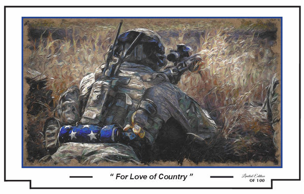 Artistic depiction of a soldier in camouflage with a rifle, set against a natural background.